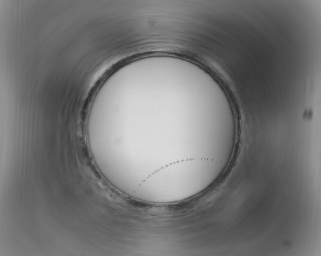 X0000112790883200908210935