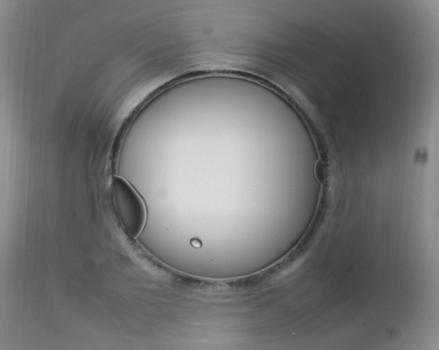 X0000112790885200908210935