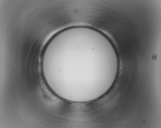 X0000112790886200908210935