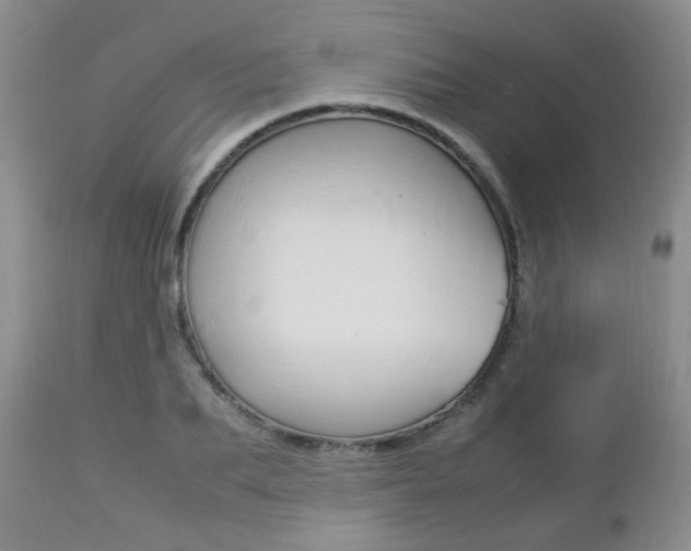 X0000112790887200908210935