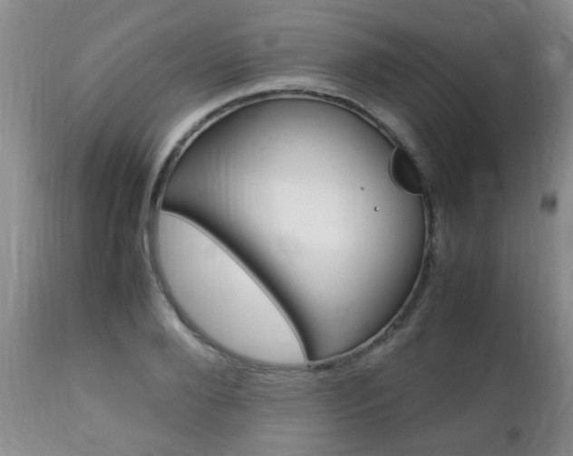 X0000112790888200908210935