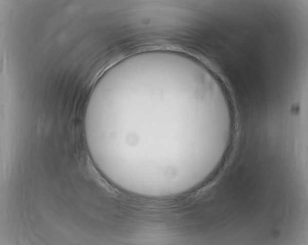 X0000112790889200908210935
