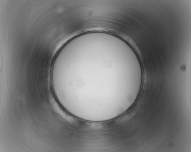 X0000112790890200908210935