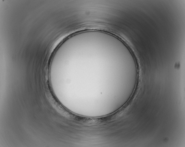 X0000112790891200908210935