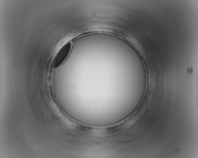 X0000112790893200908210935