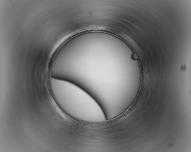 X0000112790894200908210935