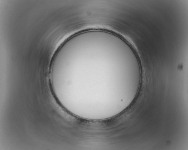 X0000112790895200908210935