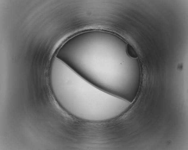 X0000112790896200908210935