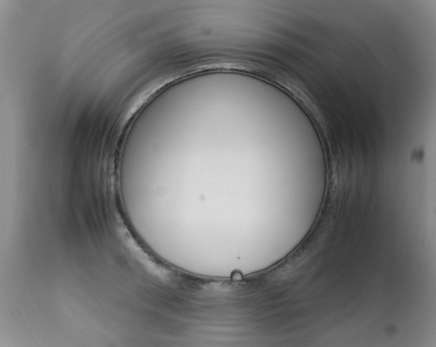X0000112790898200908210935