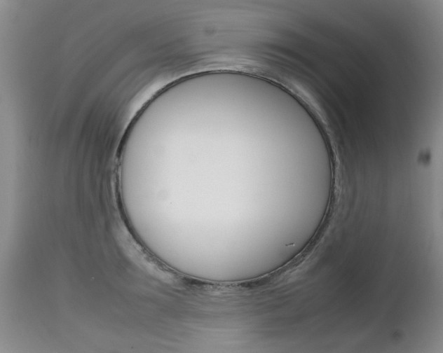 X0000112790899200908210935