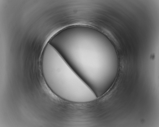 X0000112790900200908210935