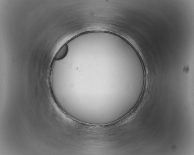 X0000112790901200908210935