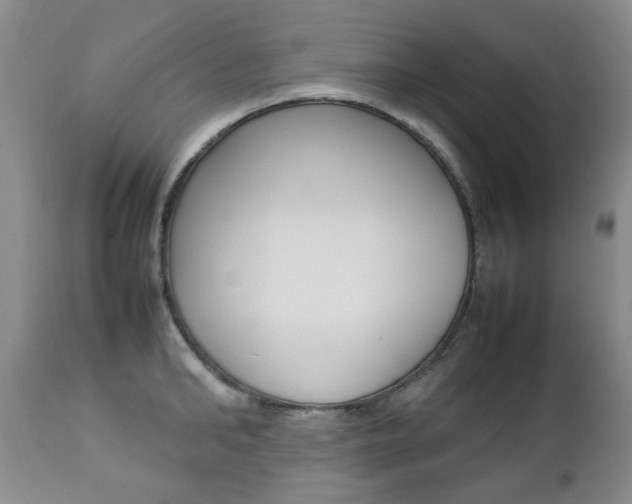X0000112790902200908210935