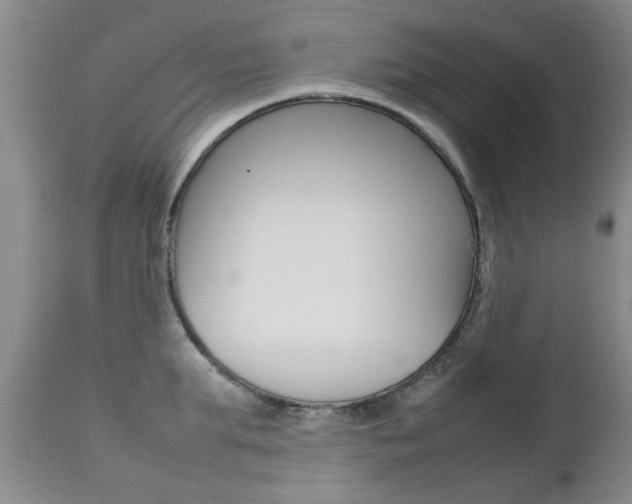 X0000112790903200908210935