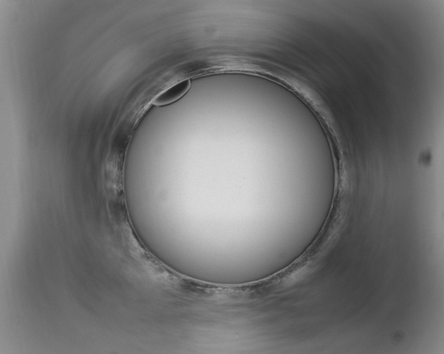 X0000112790905200908210935