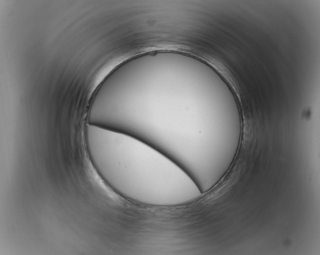X0000112790906200908210935