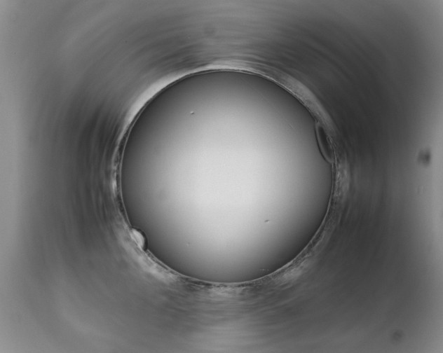 X0000112790908200908210935
