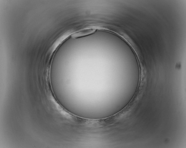 X0000112790909200908210935