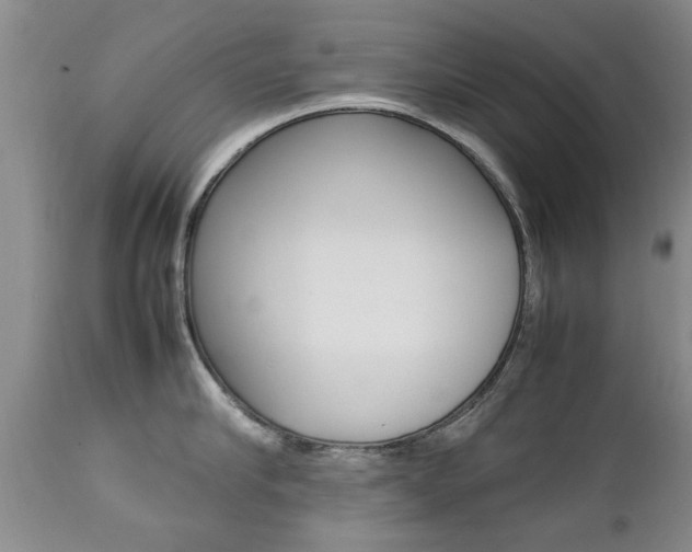X0000112790910200908210935