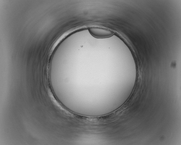 X0000112790911200908210935