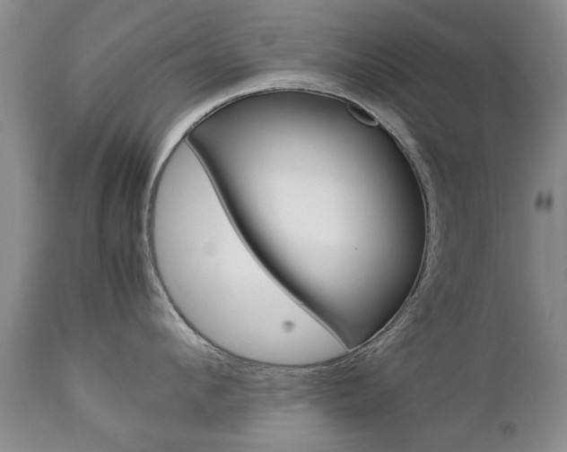 X0000112790912200908210935