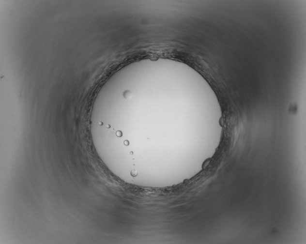 X0000112790913200908210934