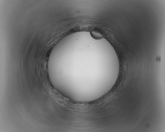 X0000112790914200908210934
