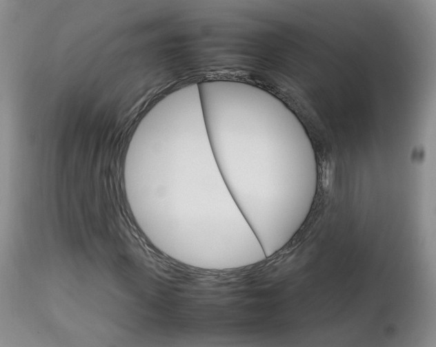 X0000112790915200908210934