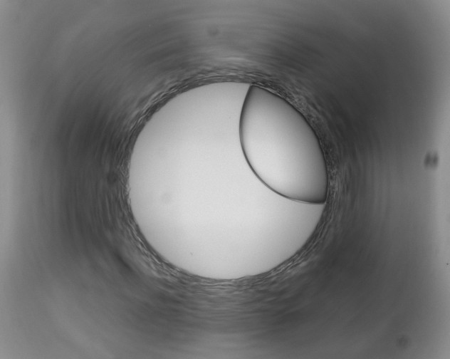 X0000112790916200908210934