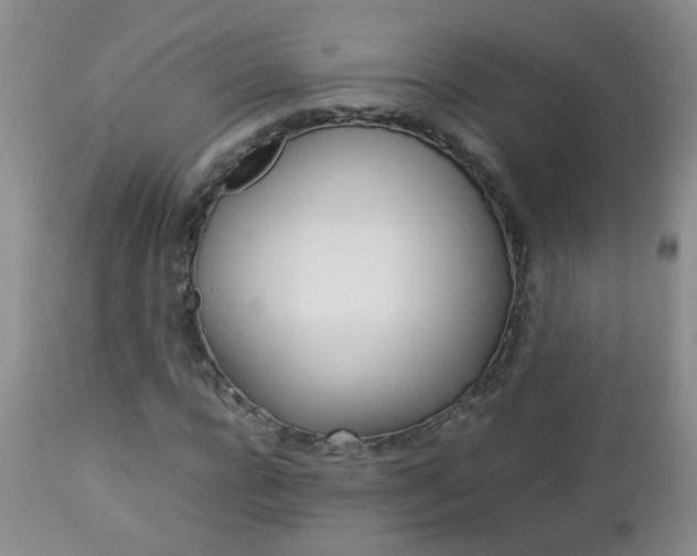 X0000112790920200908210934