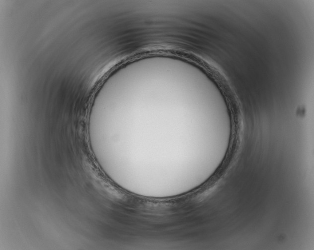 X0000112790921200908210934