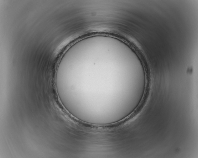 X0000112790922200908210935