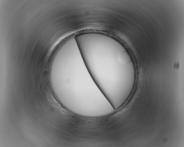 X0000112790923200908210935
