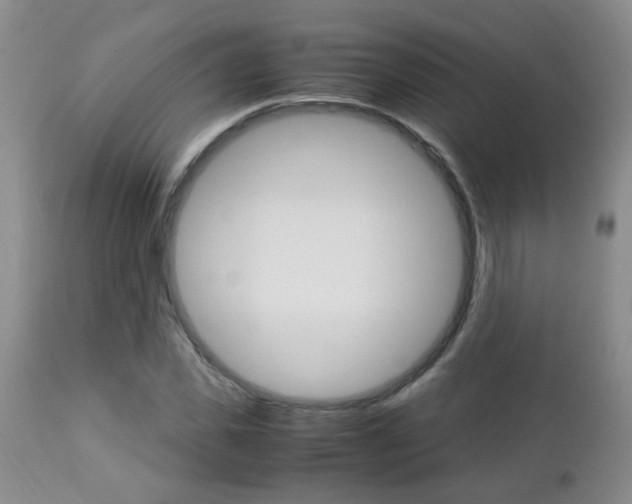 X0000112790925200908210935