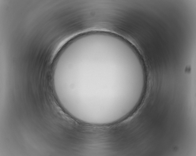 X0000112790926200908210935
