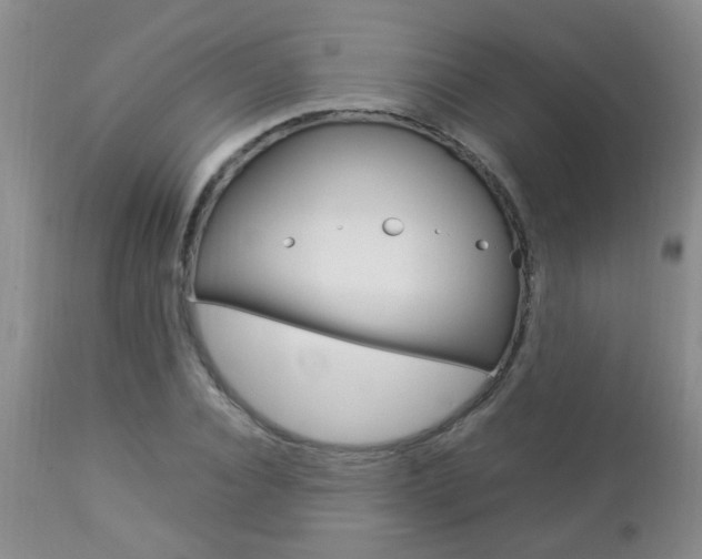 X0000112790928200908210935