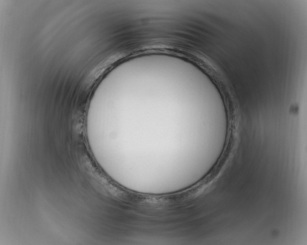 X0000112790929200908210935