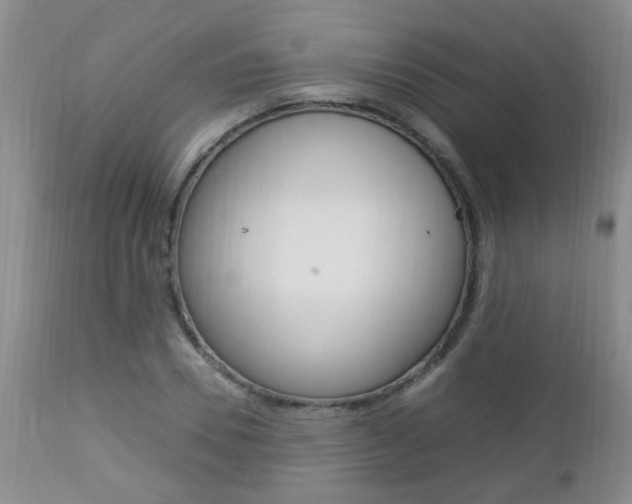 X0000112790930200908210935