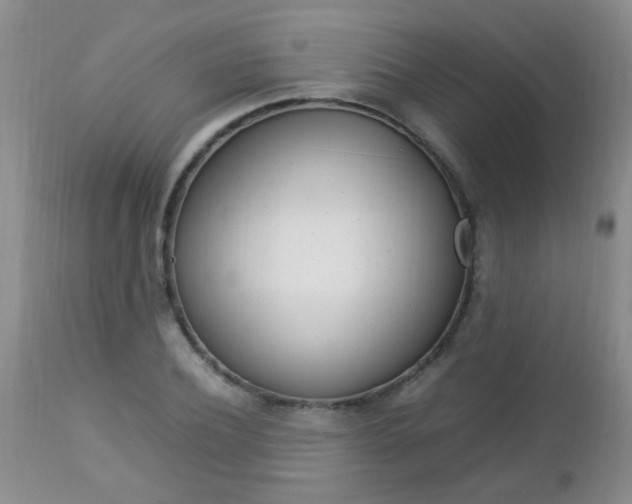 X0000112790932200908210935