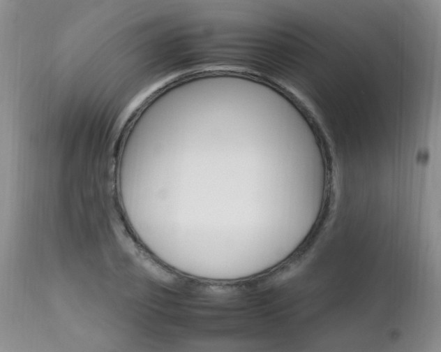 X0000112790933200908210935