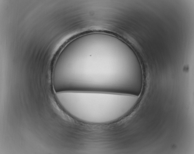 X0000112790934200908210935