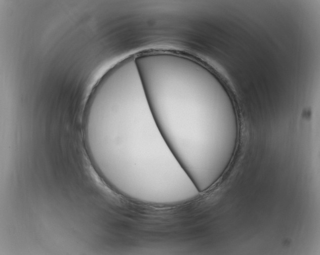 X0000112790935200908210935