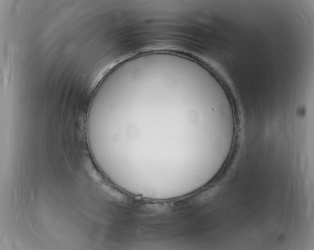 X0000112790937200908210935