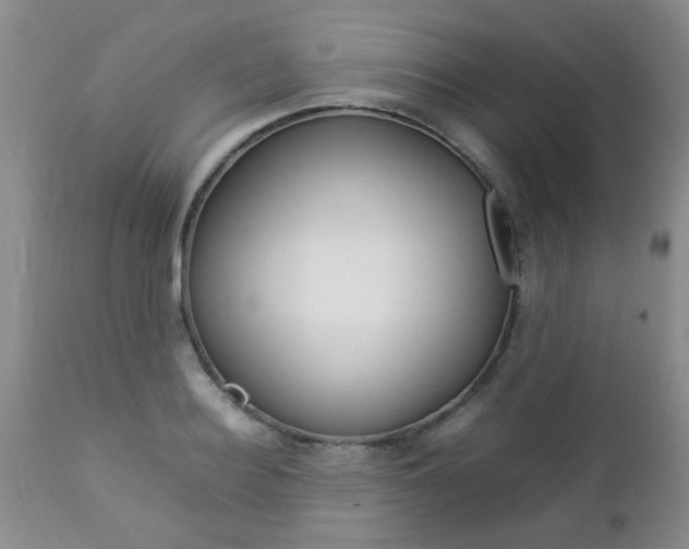 X0000112790940200908210935