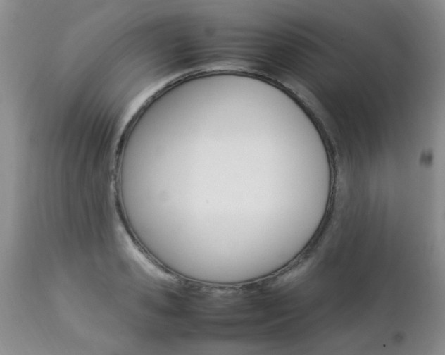 X0000112790941200908210935