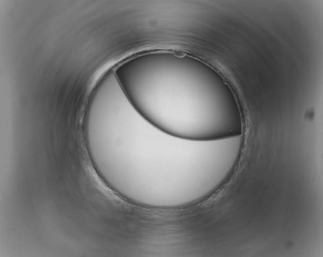 X0000112790944200908210935