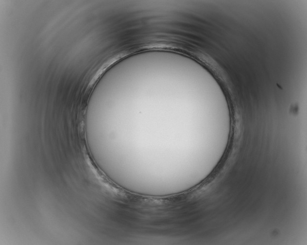 X0000112790945200908210935