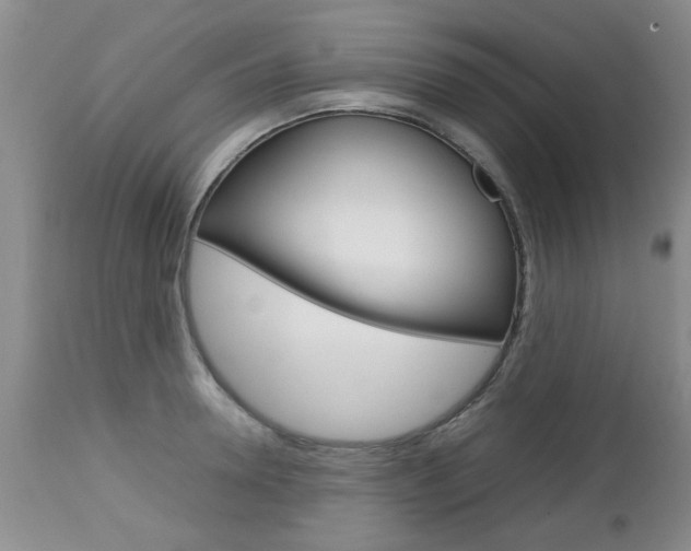 X0000112790946200908210935