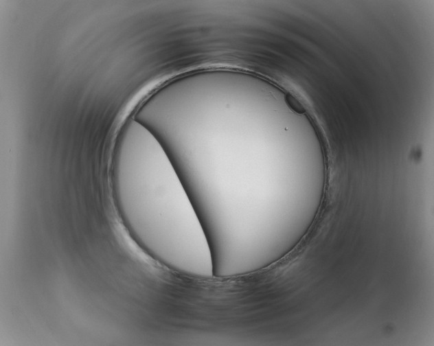 X0000112790947200908210935