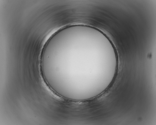 X0000112790949200908210935